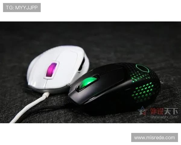 PPG国际服下载途径推荐与安全保障，确保游戏体验顺畅